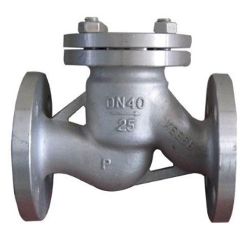 Swing Stainless Steel Check Valve